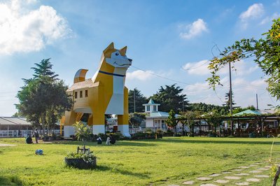 🐶 츠쿠바 왕왕 랜드 (쓰쿠바 완완란도)